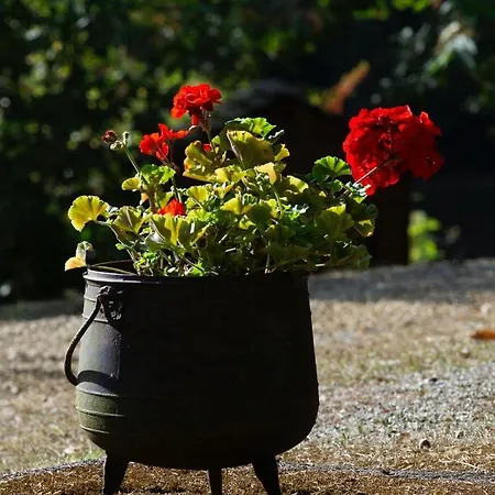 Prázdninový dům Roquecombe