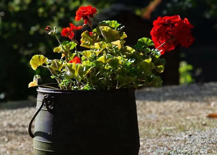 Casa vacanze Roquecombe